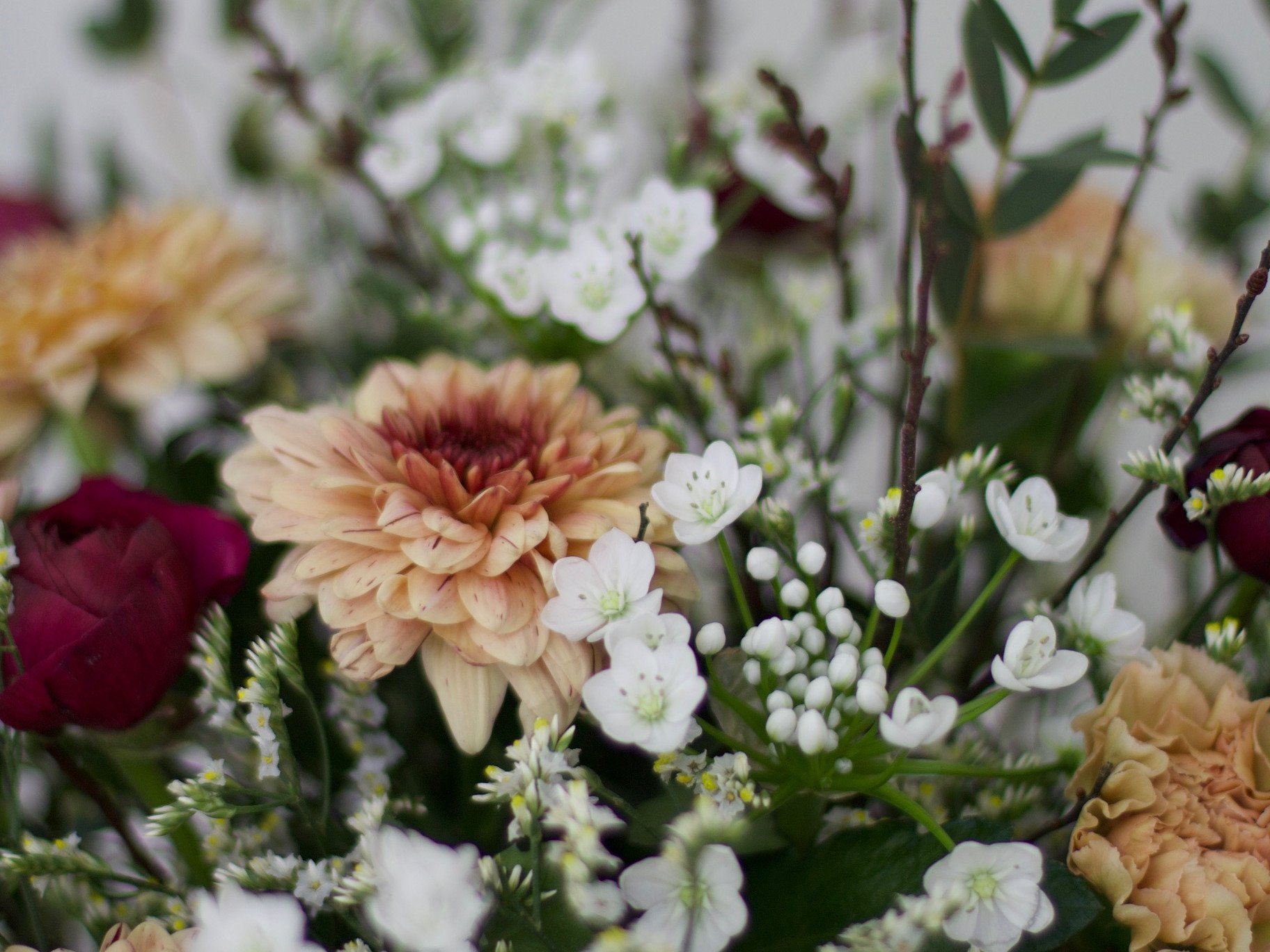 Rabattkoder från House of Flowers Familjekortet